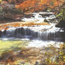 인제13-1 이미지