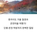 J-059 | 홋카이도 가을 절경과 온천마을 여행기! 단풍·온천·먹방까지 완벽한 힐링