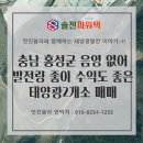 썬에너지 1호 태양광발전소 | [태양광 매매] 충남 홍성군 음영없어 발전량과 수익성까지 좋은 태양광발전소 2개소 (매매 완료)