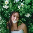 원규스튜디오 이미지