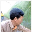 김종성농장 네이버블로그