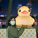 이승욱의원 | [인터뷰] “우리사회에 시민단체가 필요하다는 걸 체감하게 됐어요.” [씨티&amp;경희 NGO 인턴십 - 최서연]