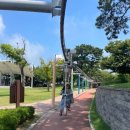 마마펜션 | [보령여행/충남투어패스]알뜰 활용/보령 사진찍기 좋은 카페/보령 가볼만한 곳/보령 여행 후기