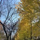 설봉공원 관광안내소 이미지