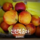 농브라더스 | 고당도 신선복숭아 농브라더스 신선복숭아 재구매의사 200%