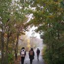 한국소방마이스터고등학교 이미지