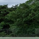 빛날영:煐 | 임재훈 소설집 『새가 떨어지는 카페』 맺는말 - “얼마나 잊었느냐?” 정신으로 계속 써 보기