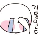 나드.윈도우스토리 이미지
