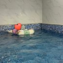 북면321 | 오드아이키즈풀빌라 “오드레드” 객실 가족여행 후기