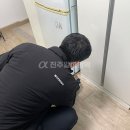 진주알파방역