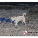 유순농장 이미지