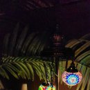 안민한의원 | 진해 심야라멘 겐쇼에서 종류별로 먹고 창원야경 보러갔어요