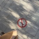 경성피어싱 | 가볼만한곳 커낼워크 데이트 코스 추천 앨리스 피어싱 도니조아 고기조아 냉삼 옥루몽 팥죽 팥빙수 추천