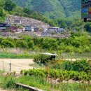 먼시골에서 이미지