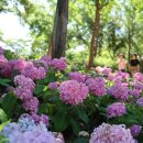 이현공원 이미지