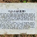 팔공여행사