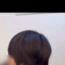 박샘헤어 - 평택시 | 박샘헤어