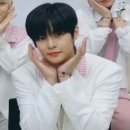꽃휘