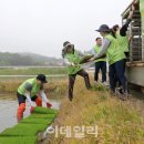 대호지농협하나로마트 이미지