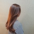 헤어살롱 오늘
