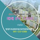 삼성부동산중개사사무소 | 탕정면 아파트 탕정삼성트라팰리스 탕정트라금빛부동산공인중개사사무소 매물