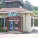 엘티 이미지