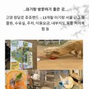 고양 원당로 쥬쥬랜드 :: 13개월 아기랑 서울 근교 동물원, 수유실, 주차, 이용요금, 내부 지도, 동물...