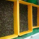 이종국농장 이미지