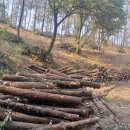 노다지농장 이미지