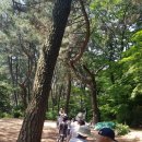 주영어린이집 이미지