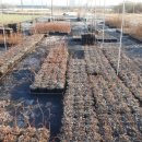 아리농장 이미지