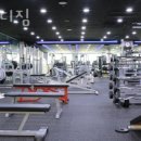 포바디짐 이미지