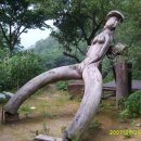 천태산장 이미지