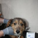 안성맞춤대로 이미지