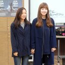 위대한캣츠비 이미지
