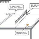 시각장애인탁구 이미지