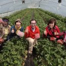 신도정보화마을 이미지