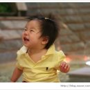 지연목장 이미지