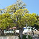 장지마을회관 이미지