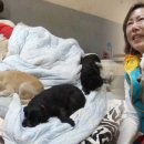 가마솥엄마