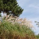 장산공원 이미지