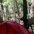 속리산카센타 이미지