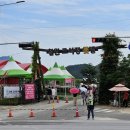 강원 철원군 *고석정꽃밭 가을꽃 축제* (25.09.08) 환상의 맨드라미꽃 천국!! 이미지