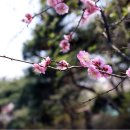 삼풍가든 이미지