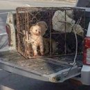 병원농장 이미지