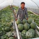 고창성내영농조합법인