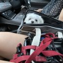 수원-0141 이미지