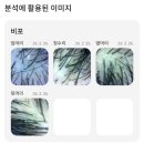 모에코의원 네이버블로그