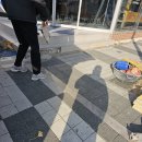 당진시구급차 | 인도 차량진입로 이동식 우레탄 볼라드 4개 시공 후기