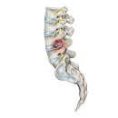 곽희준한의원 이미지